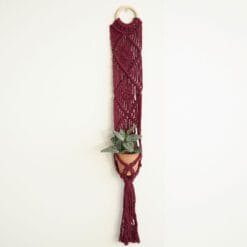 DIY Macramé Pakket Plantenhanger Bali Berry