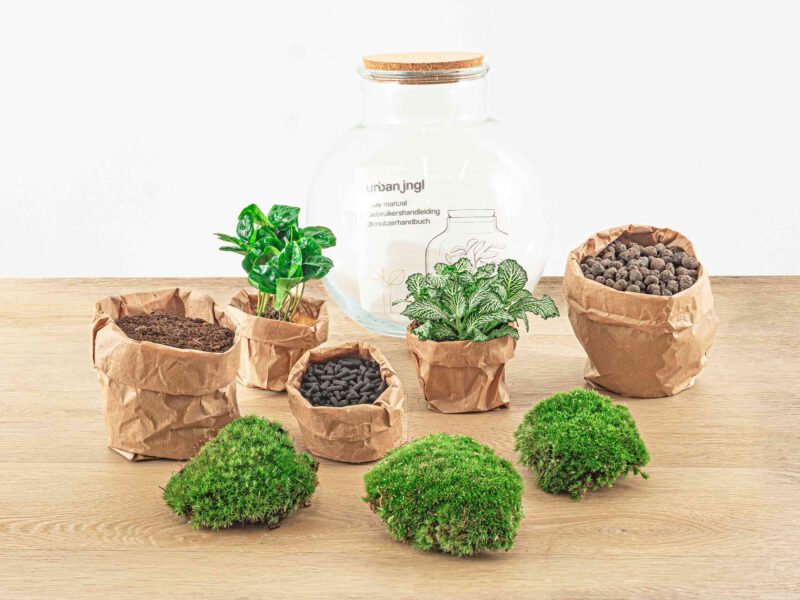 Terrarium Diy Kit - Teddy - Bottle Garden - ↑ 26,5 Cm - Afbeelding 3