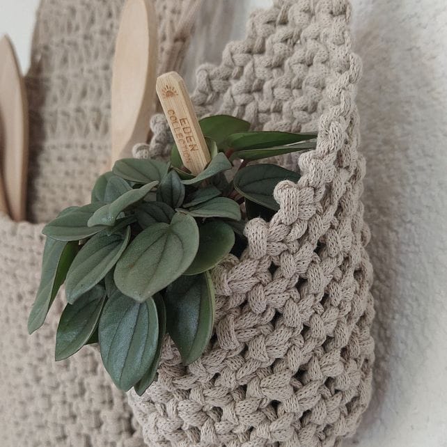 DIY Macramé Pakket Keukenopberger Ratatouille - Afbeelding 4