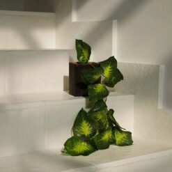 Alternative view of De Bondi-houder #2 - vierkant