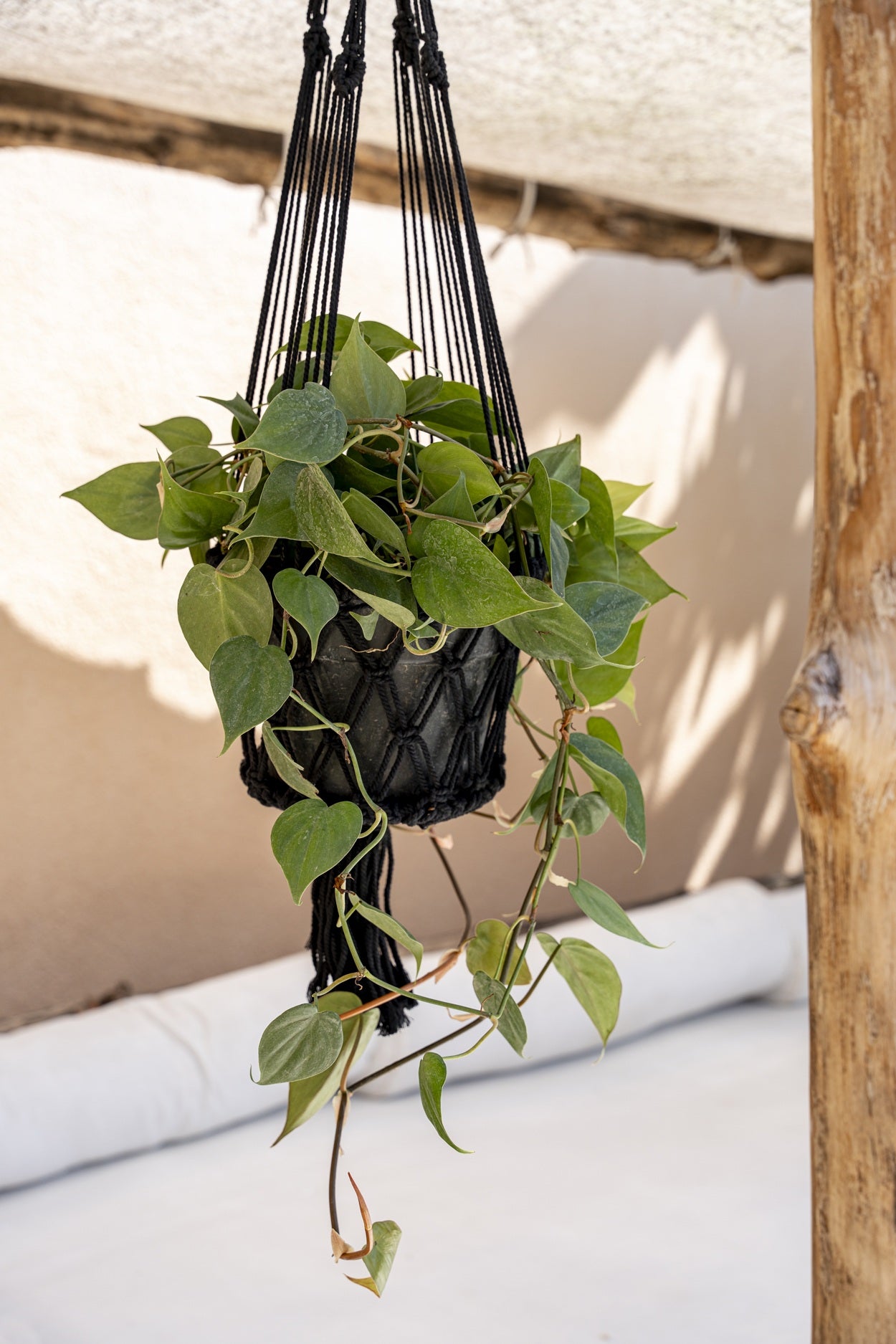 De macramé plantenhouder - zwart - L - Afbeelding 4