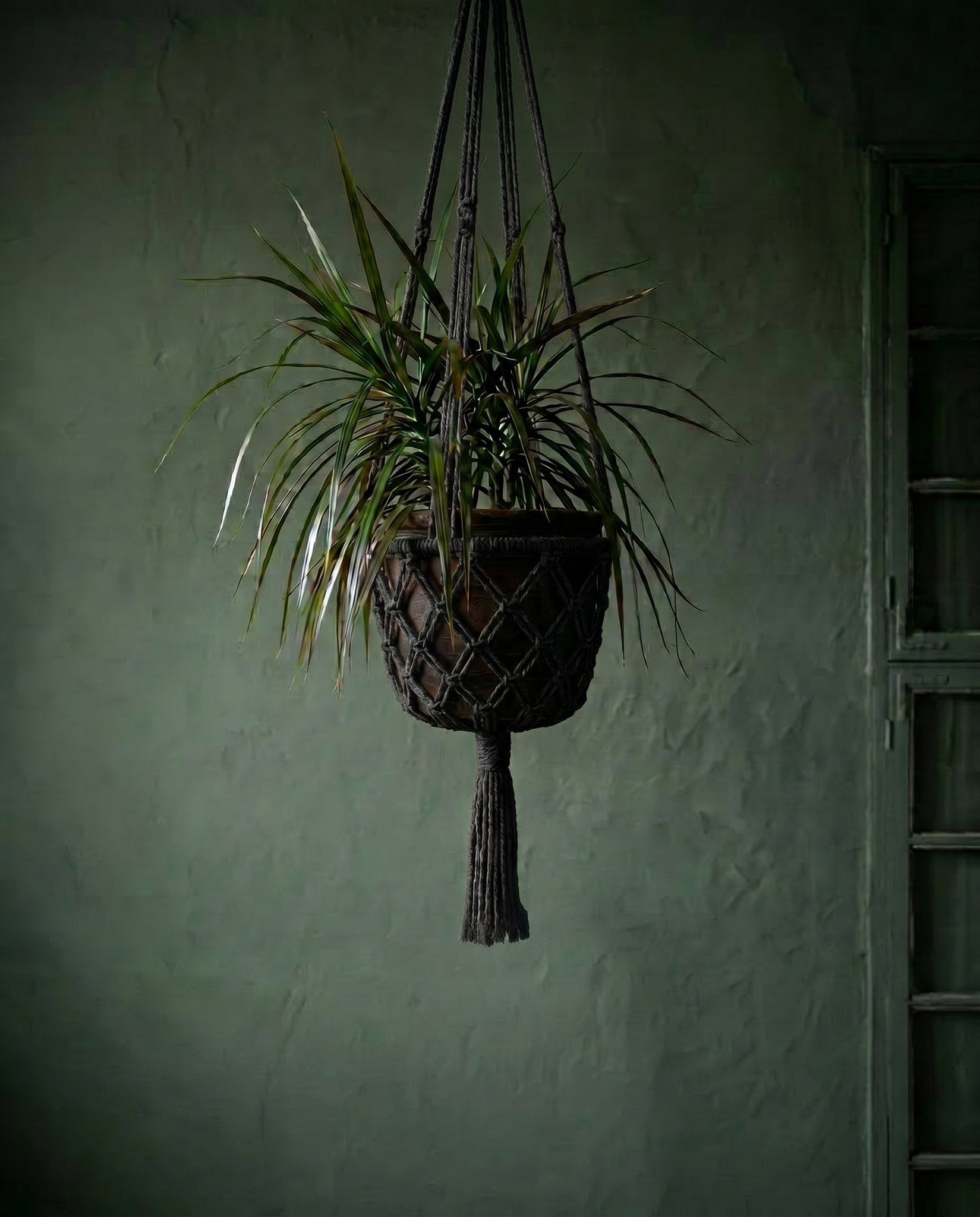 De macramé plantenhouder - zwart - L - Afbeelding 7