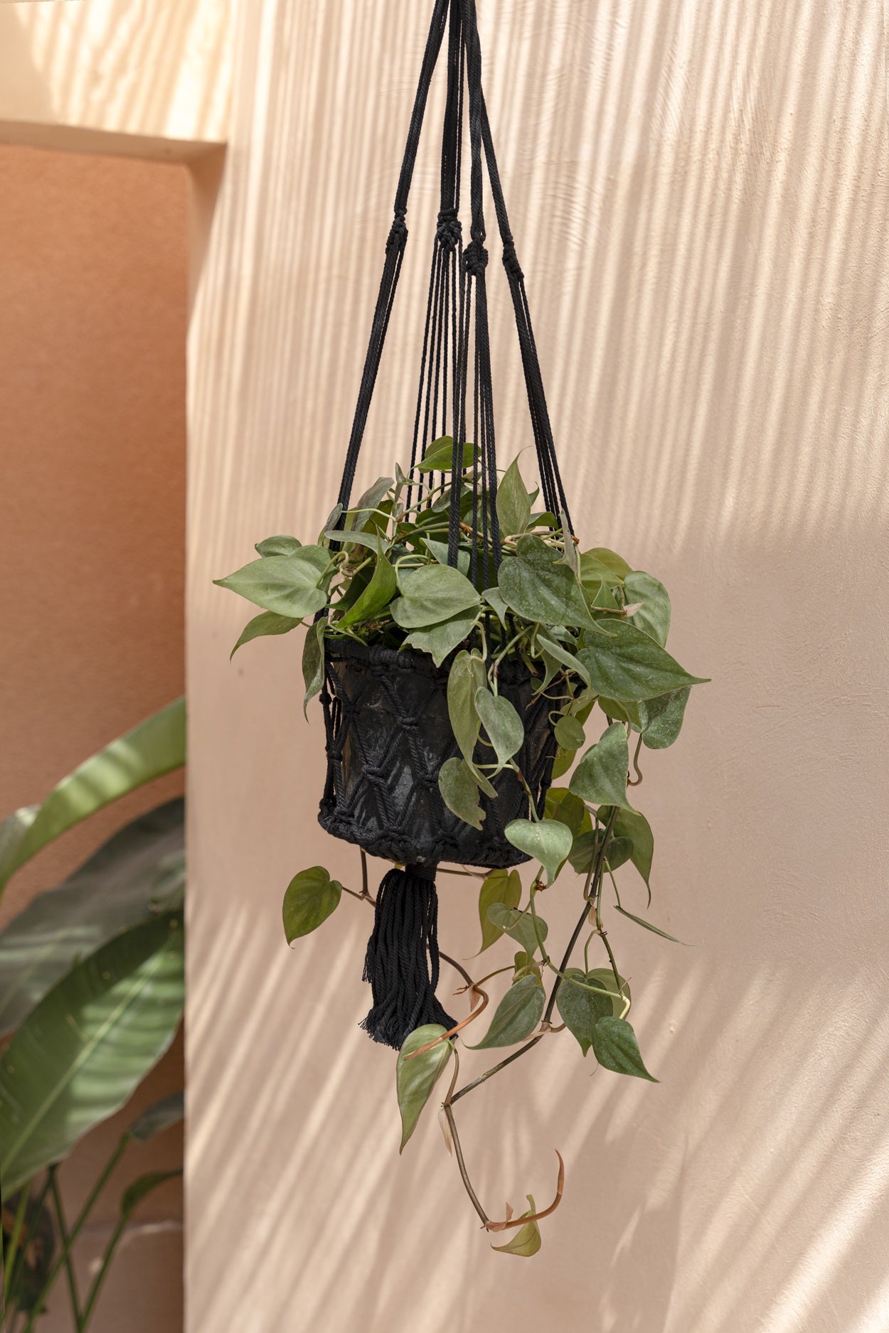De macramé plantenhouder - zwart - M_40 - Afbeelding 4